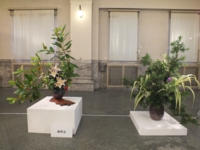 DSCF2278.JPG