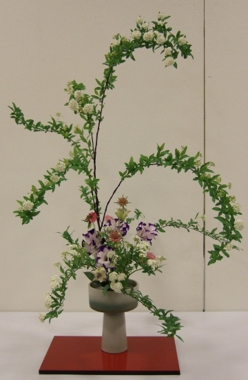 DSCF0035.JPG
